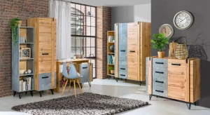 Schmaler Kleiderschrank 45 cm für das Schlafzimmer Lofter LO2 Concrete Millenium Oak Wotan