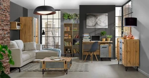 Computertisch mit Schrank 120 cm Lofter LO9 Concrete Millenium Oak Wotan
