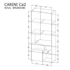 Schrank für das Jugendzimmer Carini CA2 Nash Eiche/Weiß Brillant/Graphit