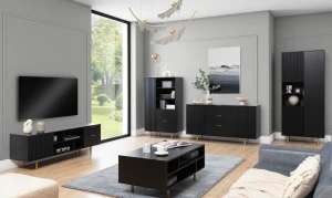 TV-Schrank Nubia Schwarz matt