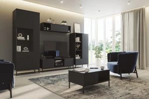 Bücherregal für das Wohnzimmer Querty Schwarz
