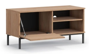TV-Schrank für das Wohnzimmer mit 1 Tür Querty Hickory