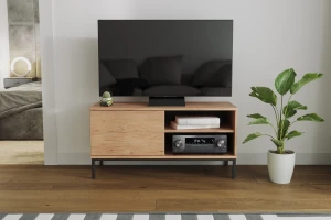 TV-Schrank für das Wohnzimmer mit 1 Tür Querty Hickory