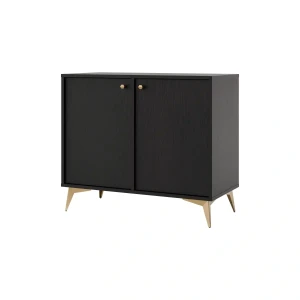 Zweitriegeltür-Kommode Sakai 1 2F T812 Schwarz