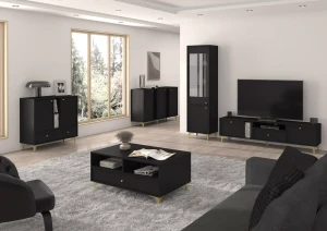 Stehender TV-Schrank Sakai 1 2K 1S T313 Schwarz