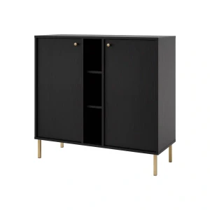 Zweitriegeltür-Kommode Sakai 2 2F T822 Schwarz