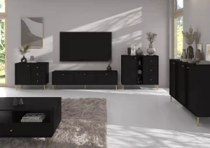 Stehender TV-Schrank Sakai 2 2K T302 Schwarz