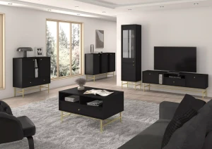 Stehender TV-Schrank Sakai 3 2K 1S T313 Schwarz