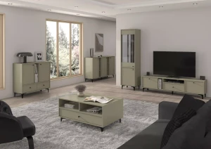 Stehender TV-Schrank Sakai 1 2K 1S T313 Eukalyptus