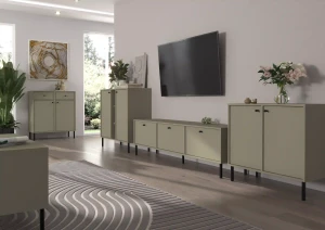 Zweitriegeltür-Kommode Sakai 2 2F T812 Eukalyptus