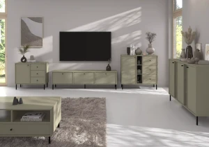 Stehender TV-Schrank Sakai 2 3K T303 Eukalyptus