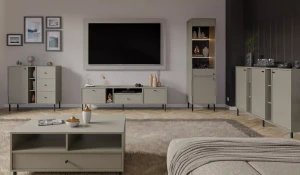 Stehender TV-Schrank Sakai 2 2K 1S T313 Eukalyptus