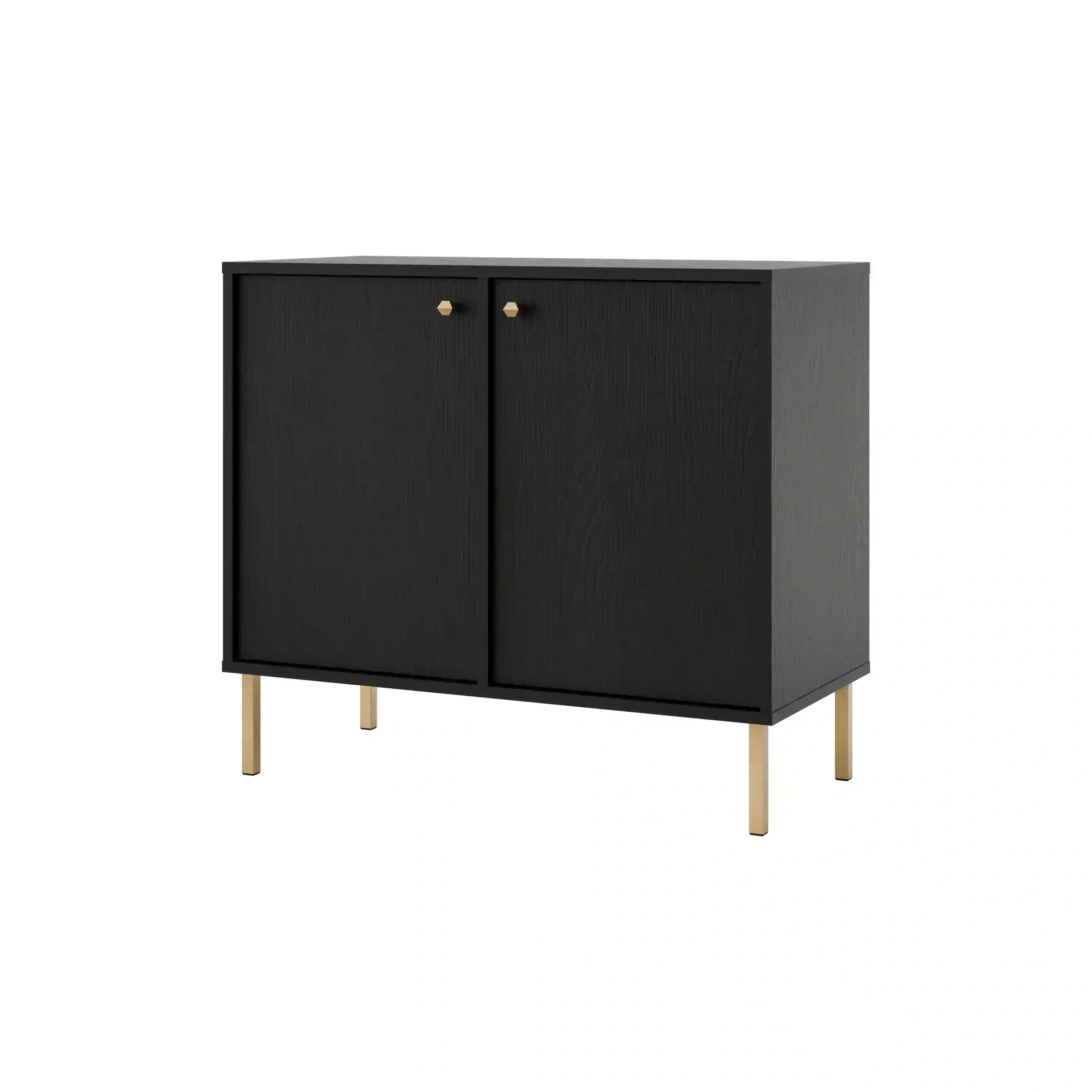 Zweitürige Kommode Sakai 2F T812 Schwarz