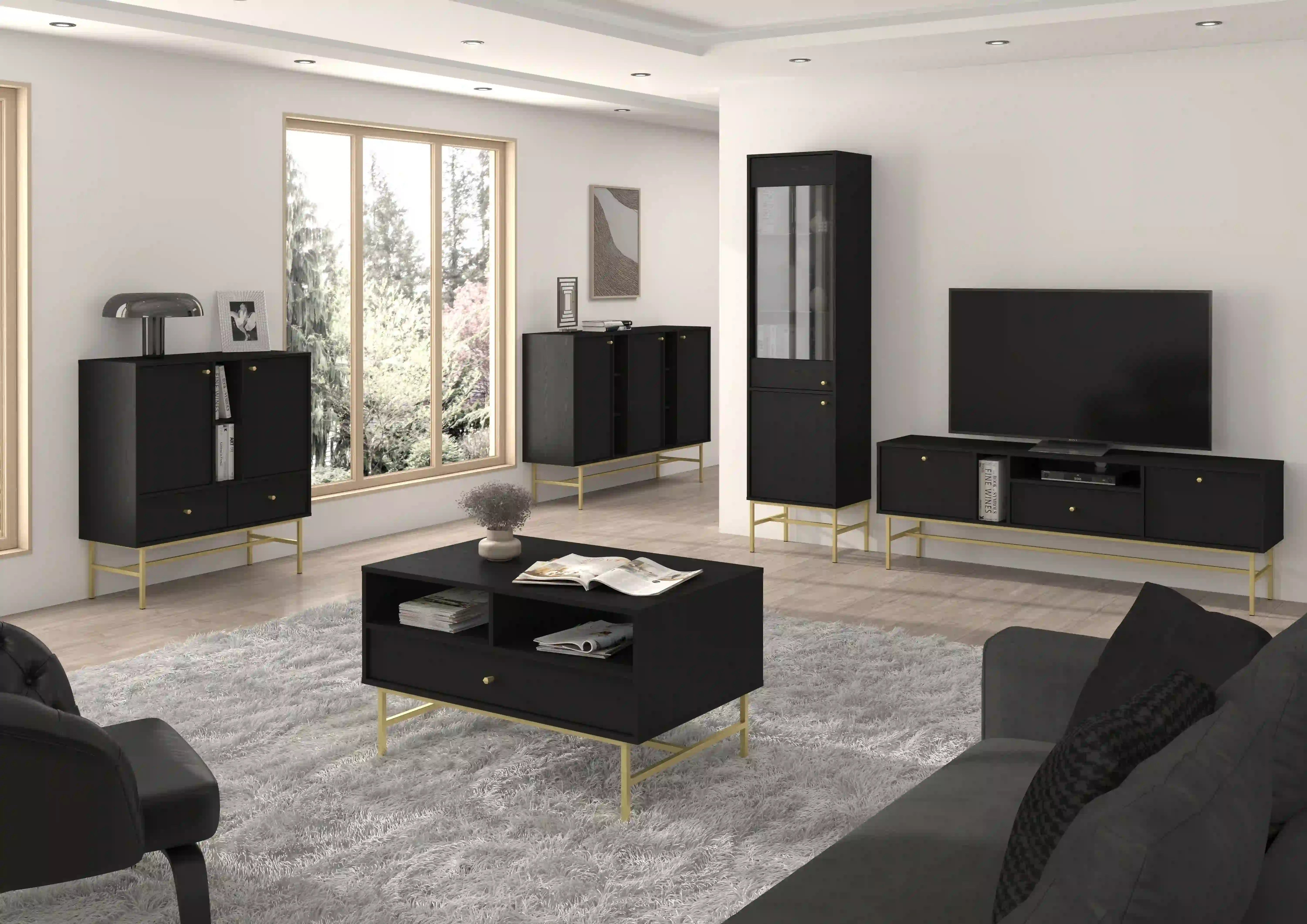 TV-Schrank Sakai 2K-1S T313 Schwarz