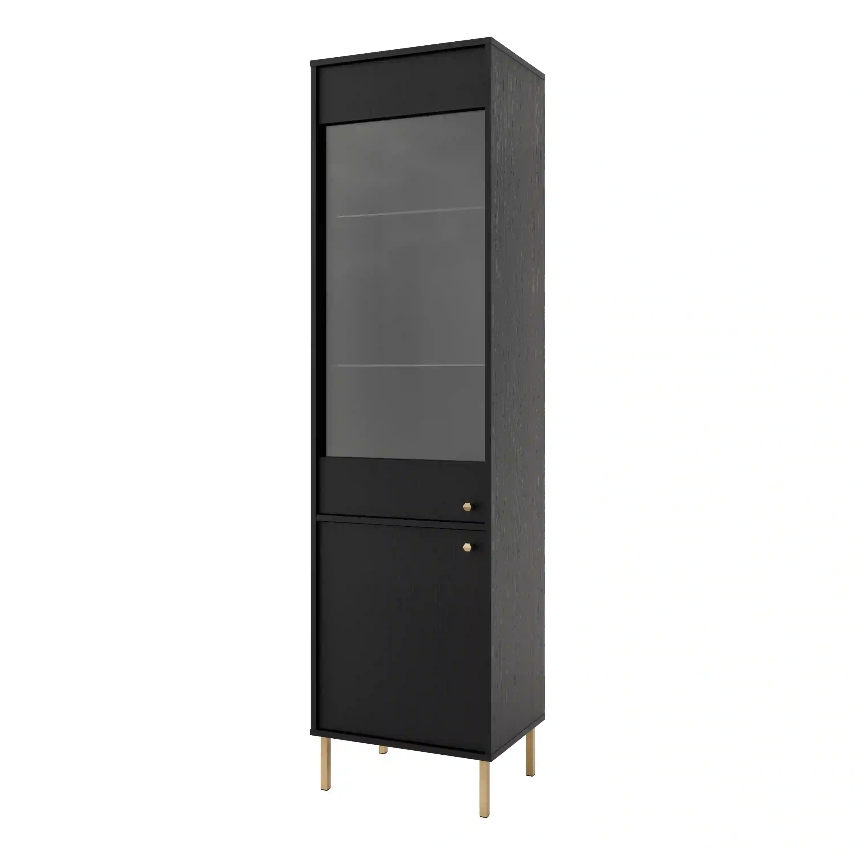 Glasvitrine Sakai 2F T101 Schwarz